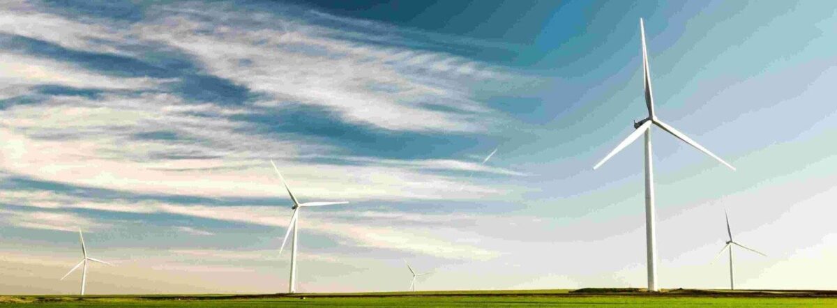 wind turbines on a field