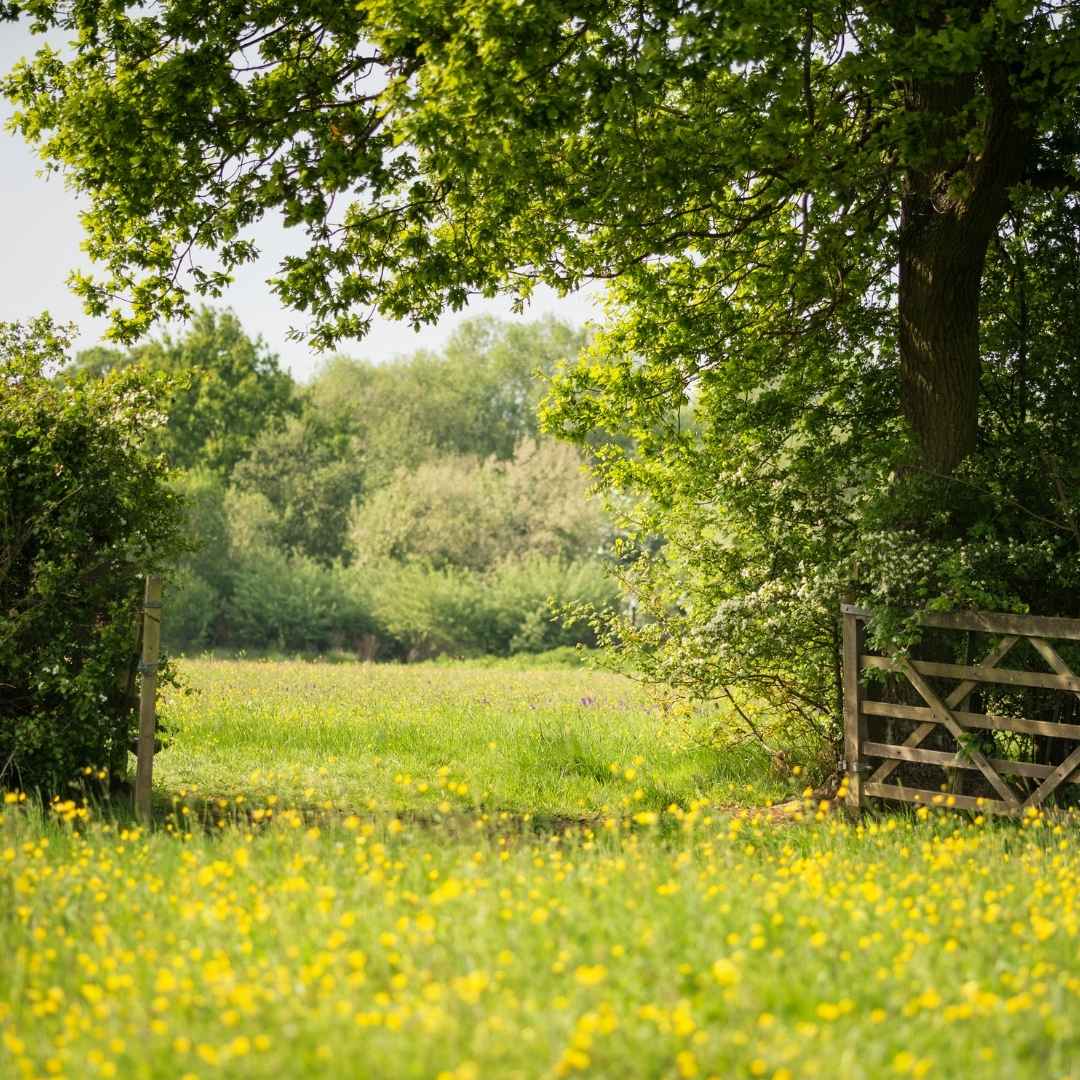Adverse Possession, AWB Charlesworth