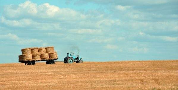 Featured image for “APR and inheritance tax changes. How many farms will be affected?”