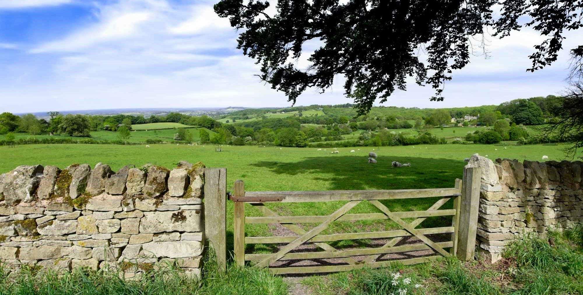 farming partnership agreement